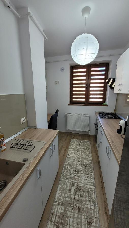 Andy Apartament Petroşani Esterno foto